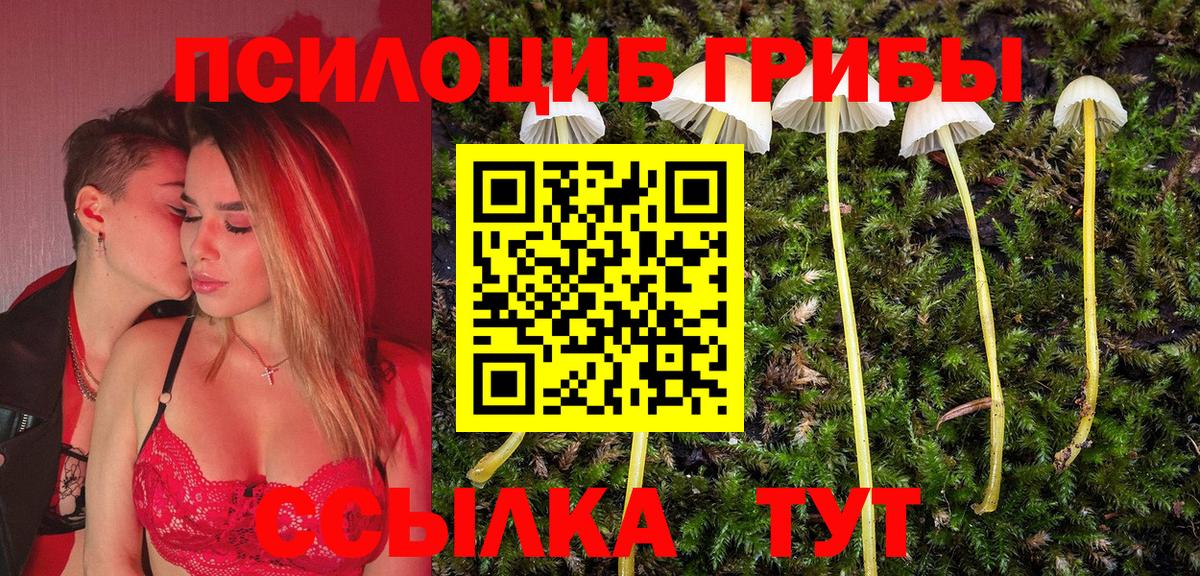 купить наркоту  Вход с VPN  Аша  Псилоцибиновые грибы мицелий 