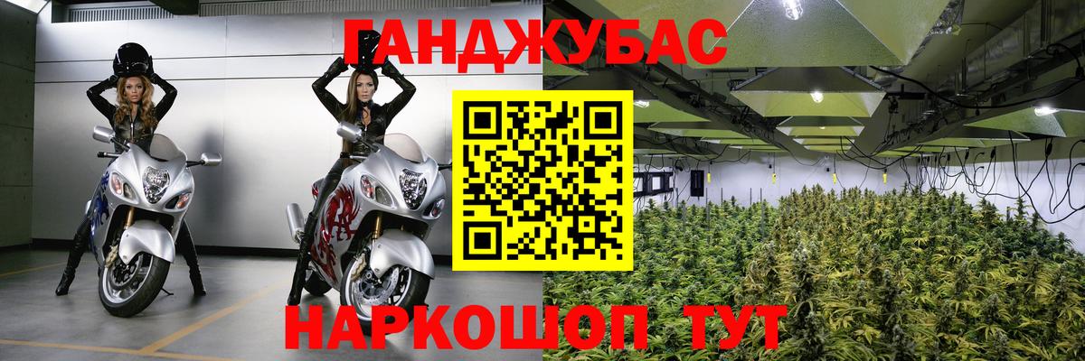 Аша  Конопля тримм  МАРИХУАНА OG Kush  Канабис план  Вход с VPN  Конопля планчик 